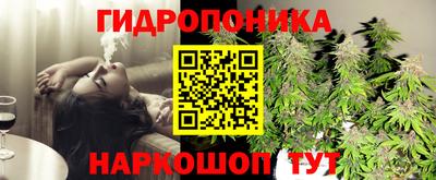 каннабис Гатчина