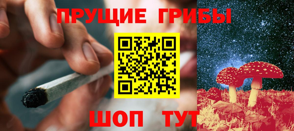 хочу наркоту  Вход с VPN  Приморско-Ахтарск  Галлюциногенные грибы мухоморы 