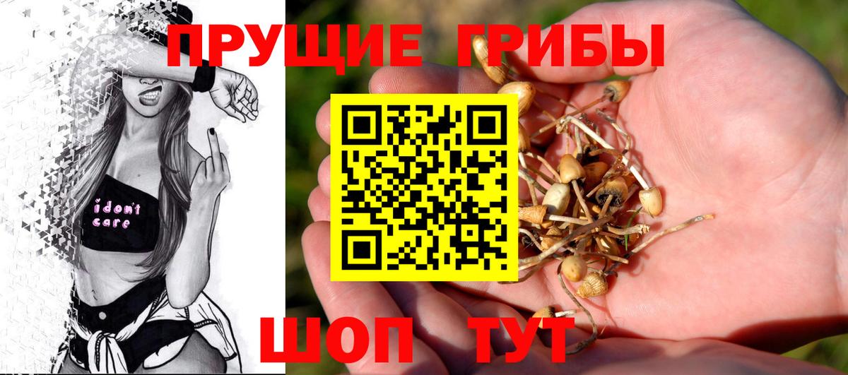 Галлюциногенные грибы мицелий Приморско-Ахтарск